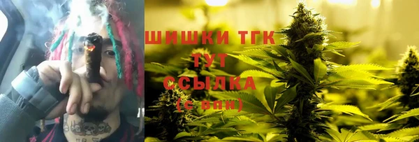 стаф Аркадак
