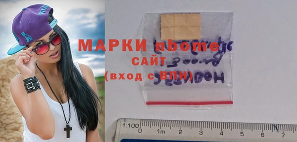 стаф Аркадак
