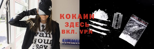 стаф Аркадак