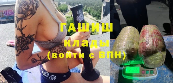 стаф Аркадак