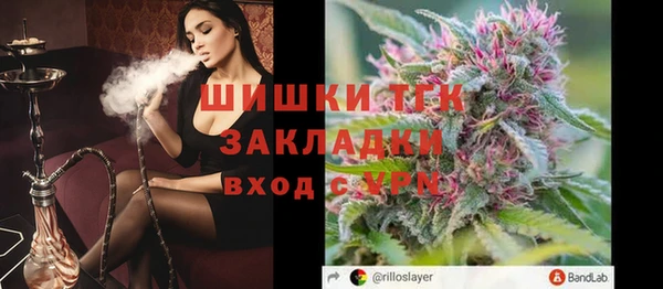 стаф Аркадак