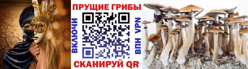 Галлюциногенные грибы мухоморы Рошаль